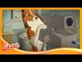 Brave Dog Saves The Wildlife Sanctuary And More Cartoons For Kids Lassie Episode Compilation 