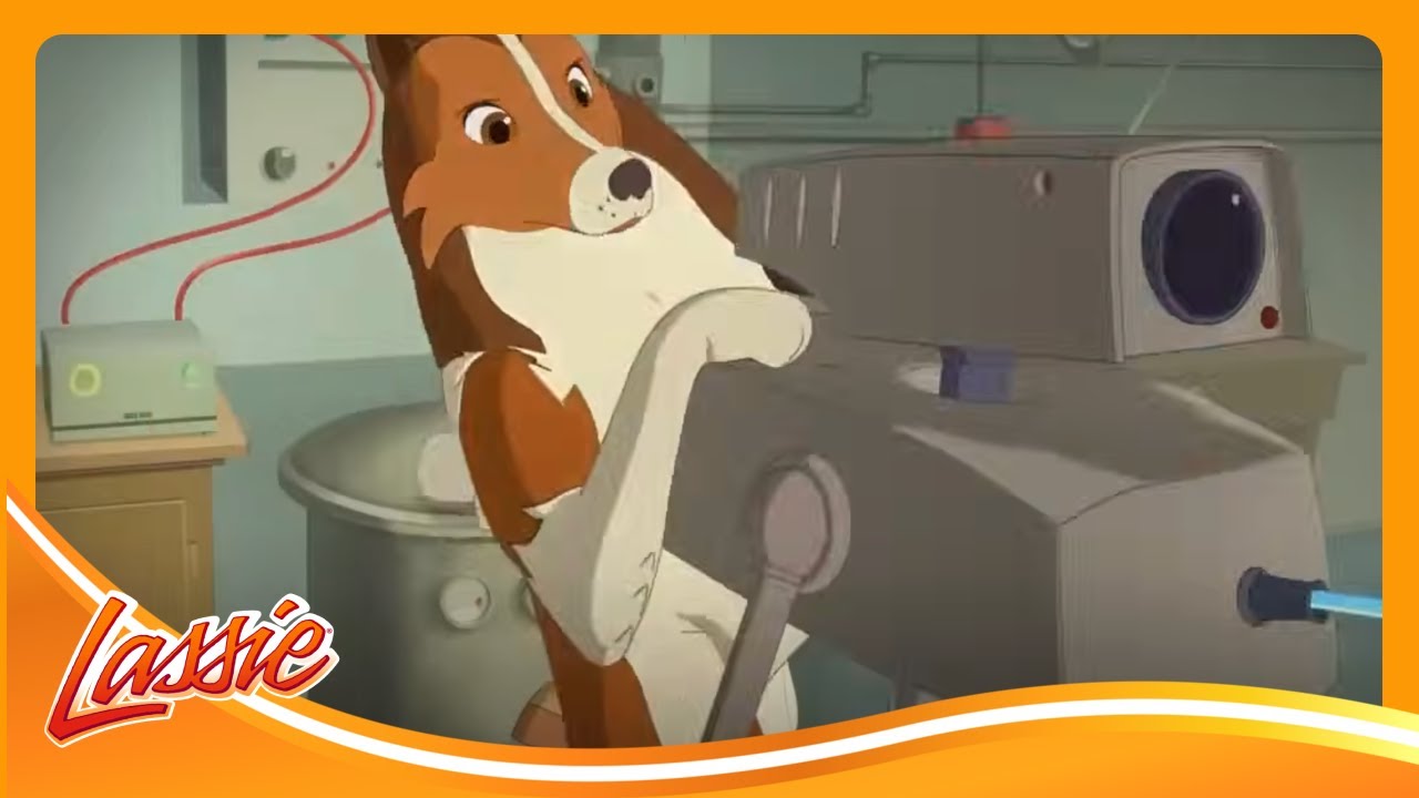 🐶 Brave Dog Saves the Wildlife Sanctuary and More Cartoons for Kids | Lassie Episode Compilation