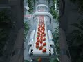 Turned Fresh Strawberries Into Luxury Ice Cream 😱🍓 (Nature to Dessert Factory)”#trending #straberry