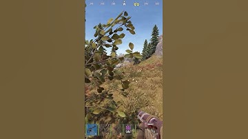 Most Unlucky Duo in Rust...