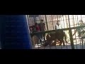 خطير لاينصح مشاهدته من اصحاب القلوب الضعيفة  بالفيديو.. أسد يفترس مدربه أمام الأطفال بسيرك في مصر 