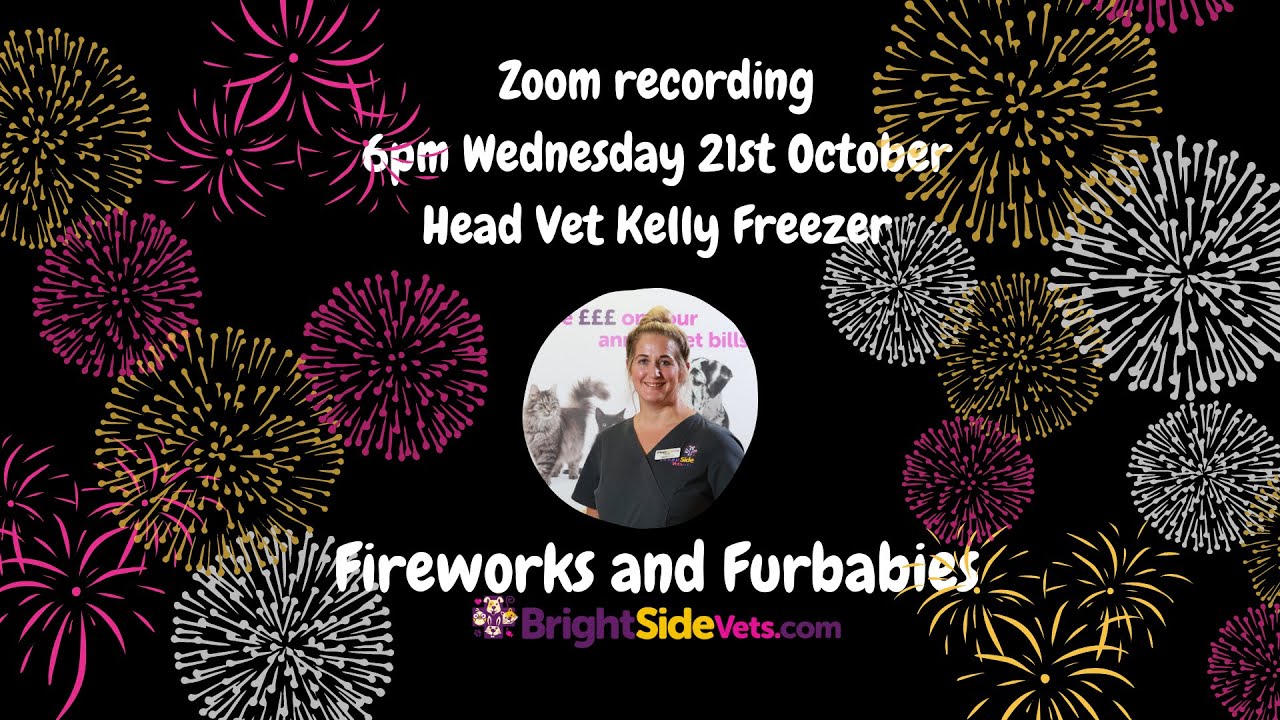 Fireworks and Fur Babies October 2020 Talk