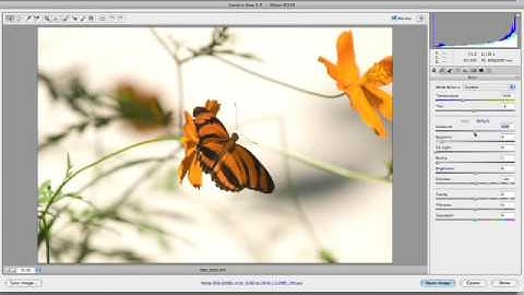 Camera Raw - Part 1 - Photoshop for Video