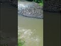 mancing sambil lihat wisata arung jeram sungai serayu