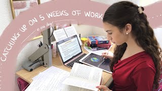 EXCHANGE STUDENT VLOG 5 | CATCHING UP ON 5 WEEKS OF LECTURES IN A DAY