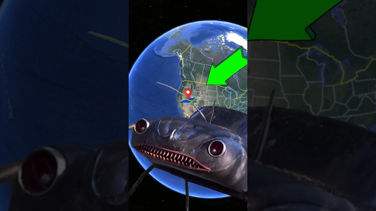 VW bug on Google Maps!