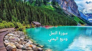 وديع اليمني سورة النمل تلاوة خاشعة جدا