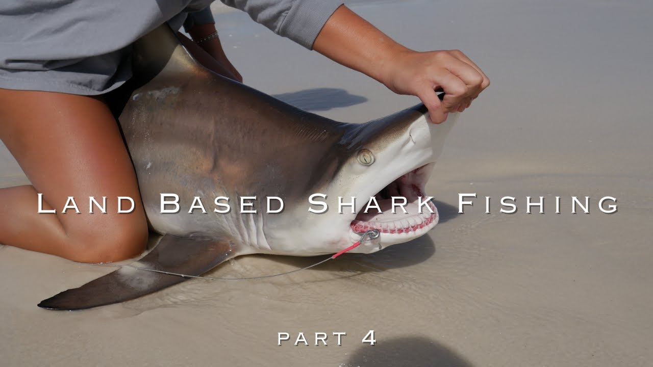 Shark Fishing from the Beach in Destin, FL