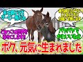 ノーザンファーム初産駒のシャフリヤールっ仔産まれる！に対するみんなの反応【競馬の反応集】