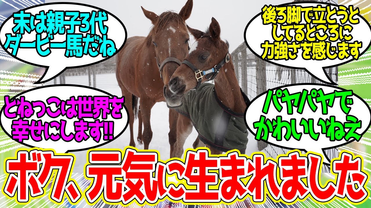 ノーザンファーム初産駒のシャフリヤールっ仔産まれる！に対するみんなの反応【競馬の反応集】