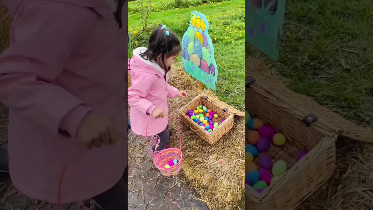 Easter Egg Hunt Fun🐣 