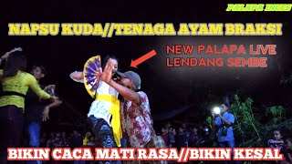 Napsu Kuda Tenaga Ayam Bikin Caca Mati Rasa