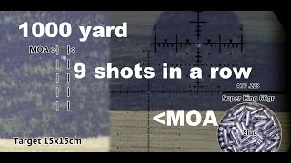 1000 Yard - 9 Shots under MOA - ( horizontally )