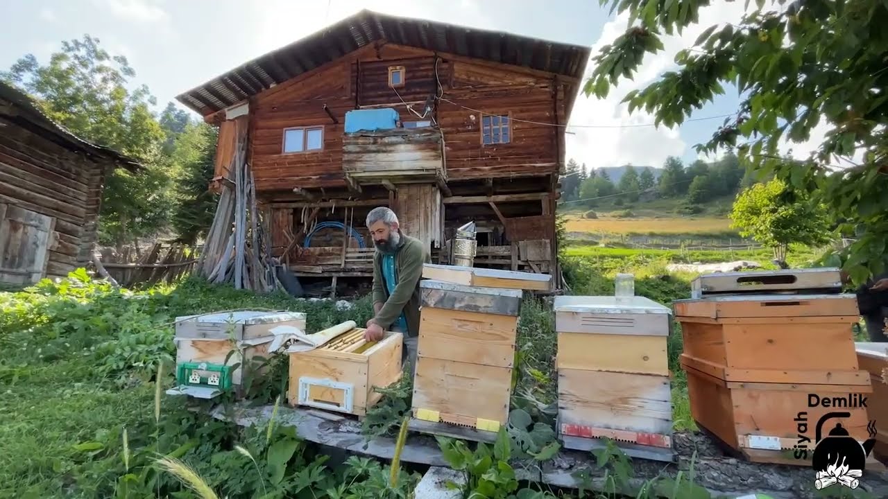 2000 metrede kamp yaptık...! CANCİR YAYLASI VE BAZGİRET KAMPI.DRONE ,AKORDEON VE YAYLA..