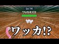【小ネタ集】20秒でオチがつく男のポケモンSV【天開司】