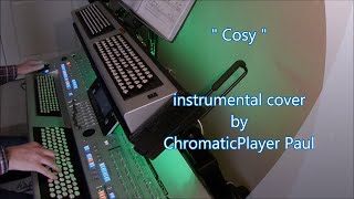 Video thumbnail of "Cosy - Organ & keyboard (chromatic)"