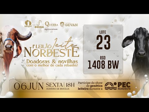 LOTE 23 1408 BW