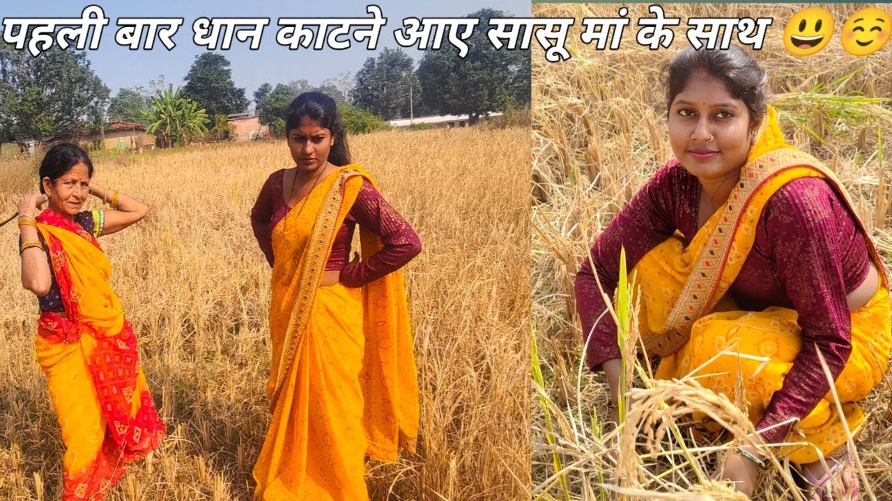 दिल्ली से गांव धान काटने आए सासू मां के साथ 😃 but आती नहीं मुझे 😆|| #gav  #vlog @Shantithevlogger 