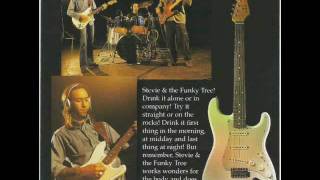 STEVIE & The Funky Tree - MEAN HEARTED WOMAN (2001) screenshot 5