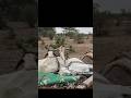 Barish Na hoi Tu Kia Hoga ??##thardesert