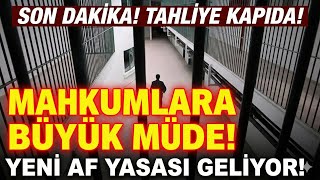 Af Yasasında Yeni Açıklama Geldi Mi? Son Dakika Bilgileri