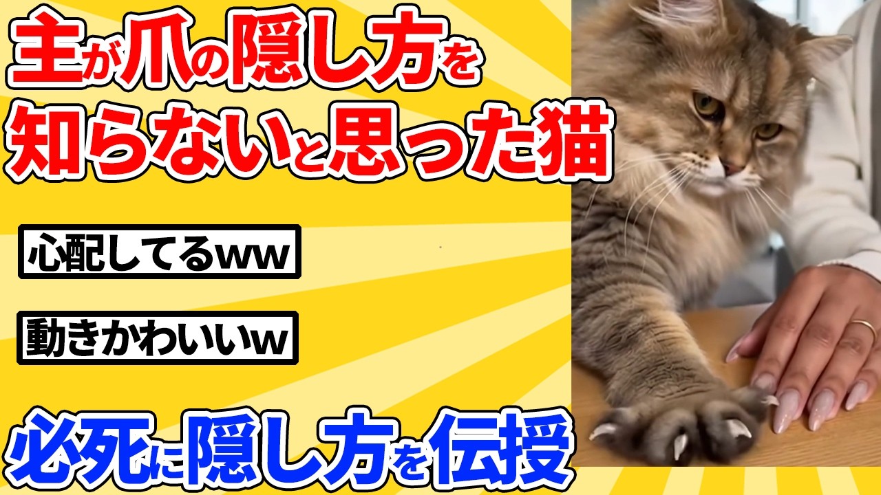 【2ch動物スレ】飼い主が爪の隠し方を知らないと思って心配した猫→必死に隠し方を伝授ｗｗｗｗｗ