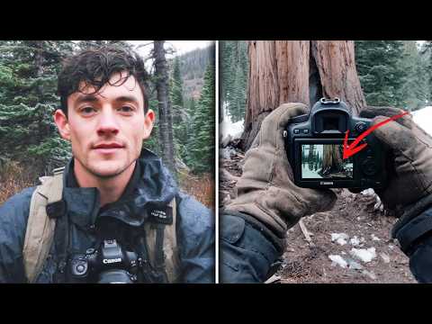 He Vanished In The Woods—A Year Later His Camera Had 1,000 Photos Of The Same Creepy Tree!