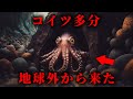【生物学】タコが地球の外から来た生物である証拠5選