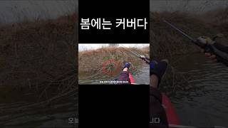 배스낚시 봄에는 커버다 강산해적FTV