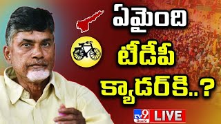 Chandrababu Case LIVE | What Happened To TDP Cadre ..? | AP Politics - TV9