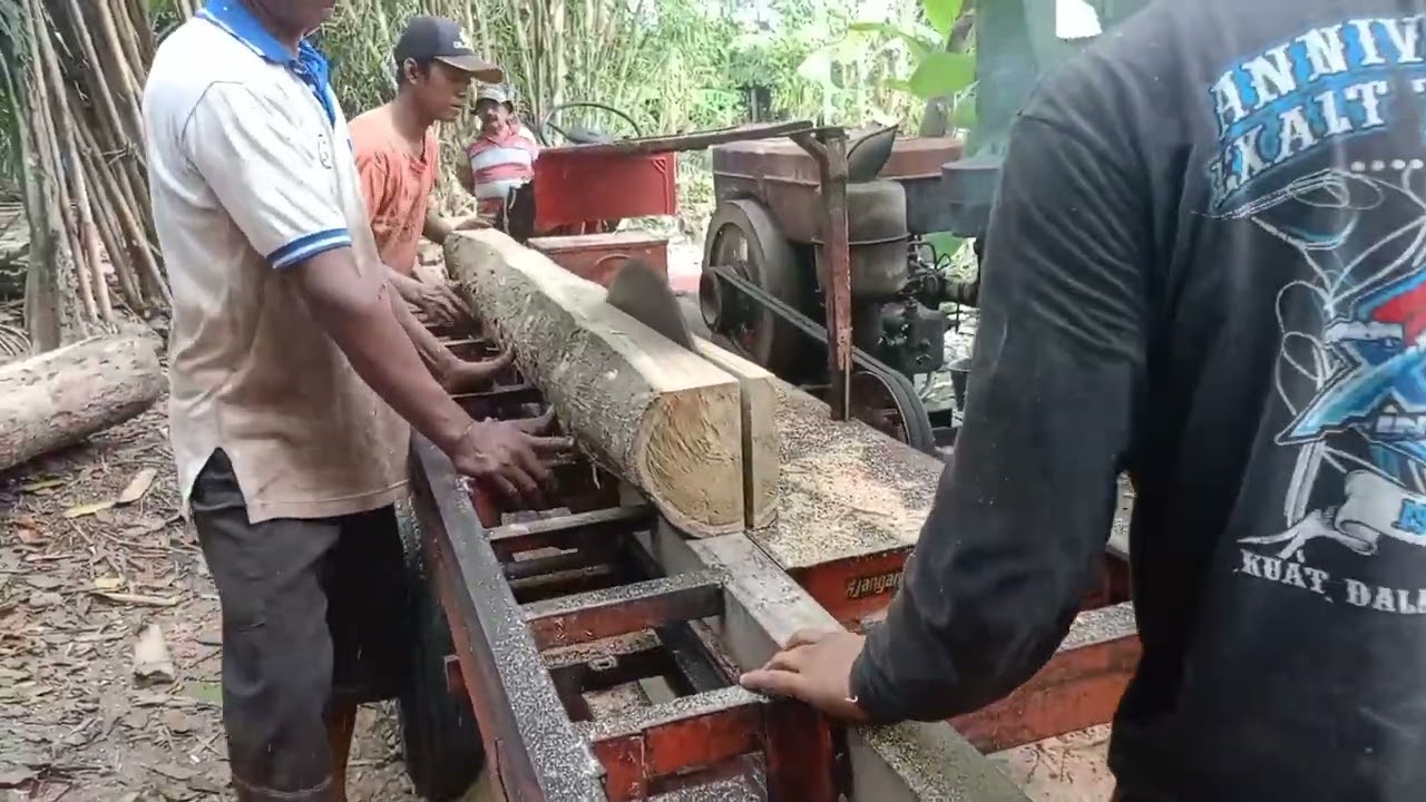 Serat jati tanpa mata‼️di gergajj menggunakan serkel rakitan rel
