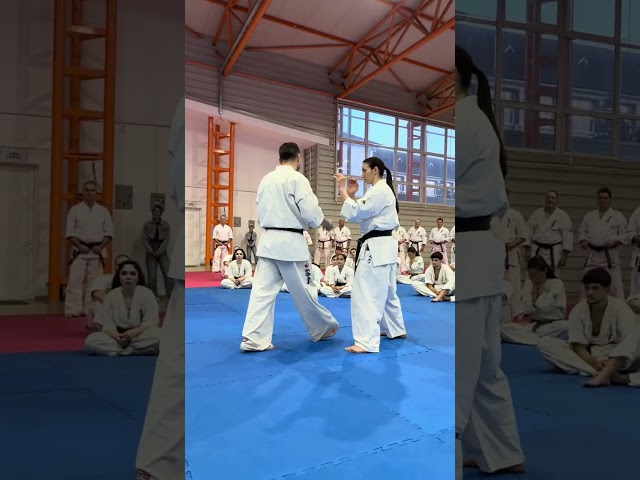 Cristian Boldut Fight Camp 2026 #kyokushin #shinkyokushin #karate #1kyokushin #一極真 #極真会館