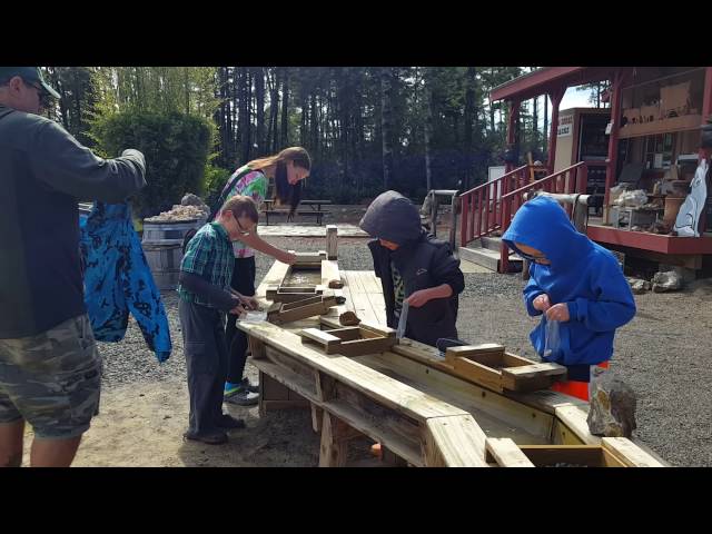 Roadschool Life | Collecting gold and treasures in Oregon