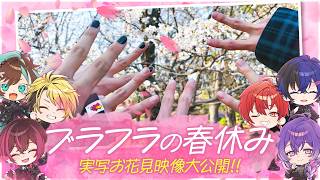 ブラフラ【公式】 - BLACK FLAP -の配信のサムネイル画像