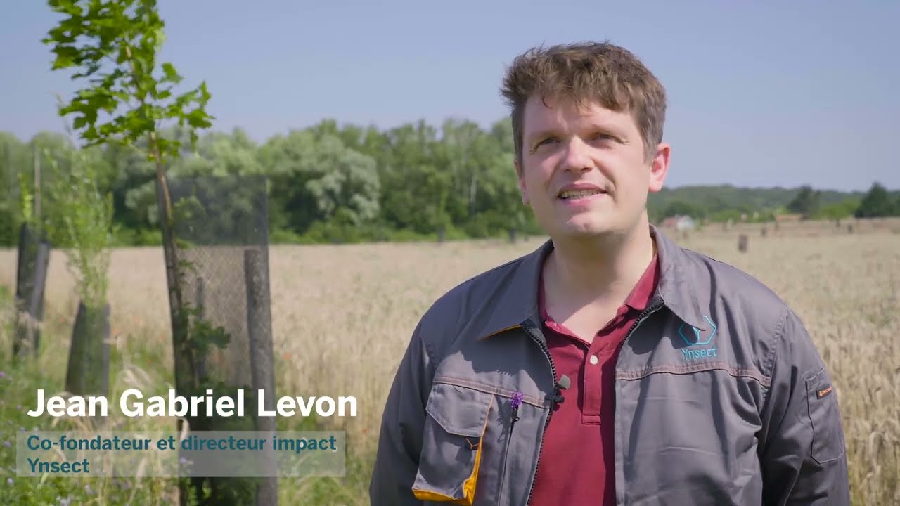 Ici On Sème : agroforesterie dans la filière blé avec Ynsect - ITW Jean-Gabriel Levon