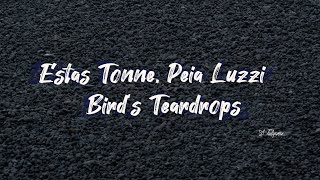 Estas Tonne, Peia Luzzi  -   Bird's Teardrops