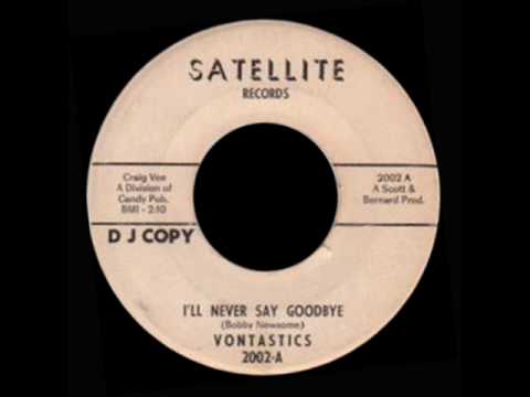 Vontastics - I'll Never Say Goodbye