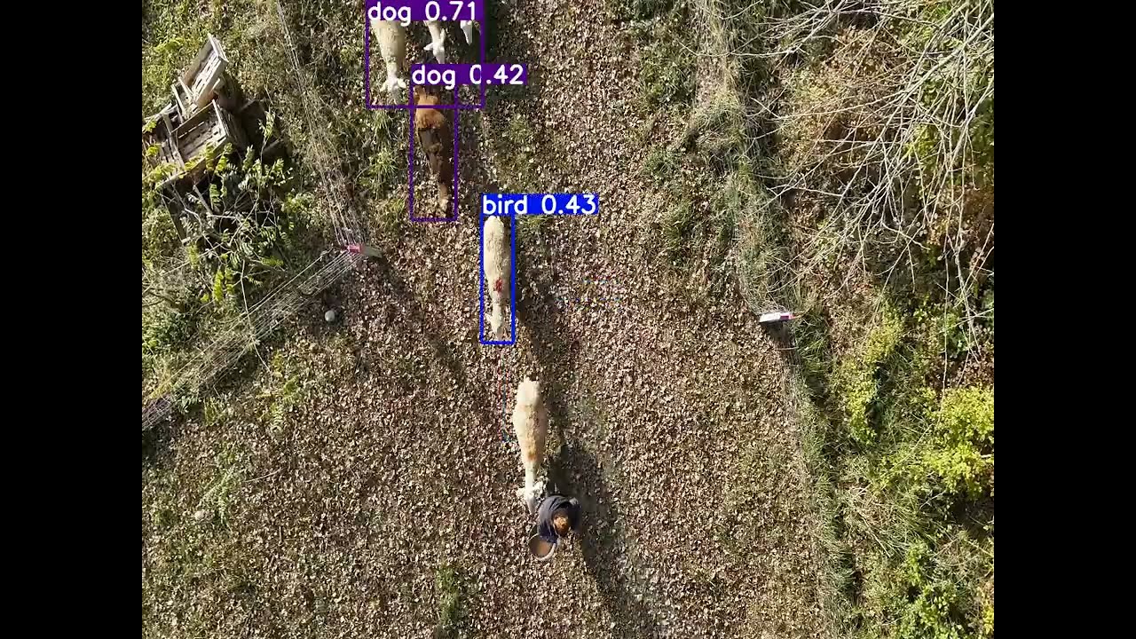 Innovative advancements in livestock monitoring with IDELE & ICAERUS (part 3)