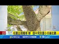 中火火力與台電回應