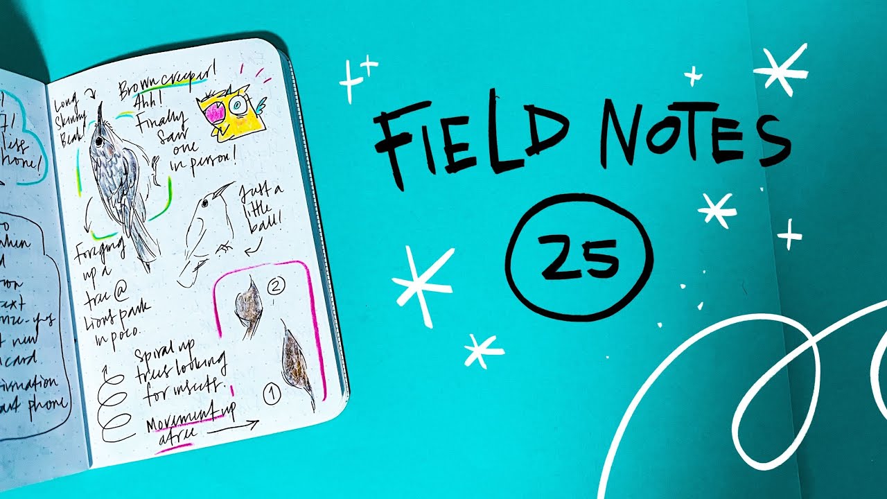 Field Notes flip-through 25