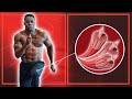 Fast Twitch versus Slow Twitch Muscle Fibers (Research on Elite Sprinter)