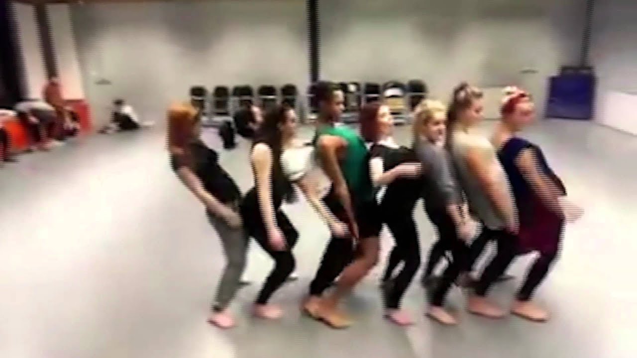 PAW promotional video