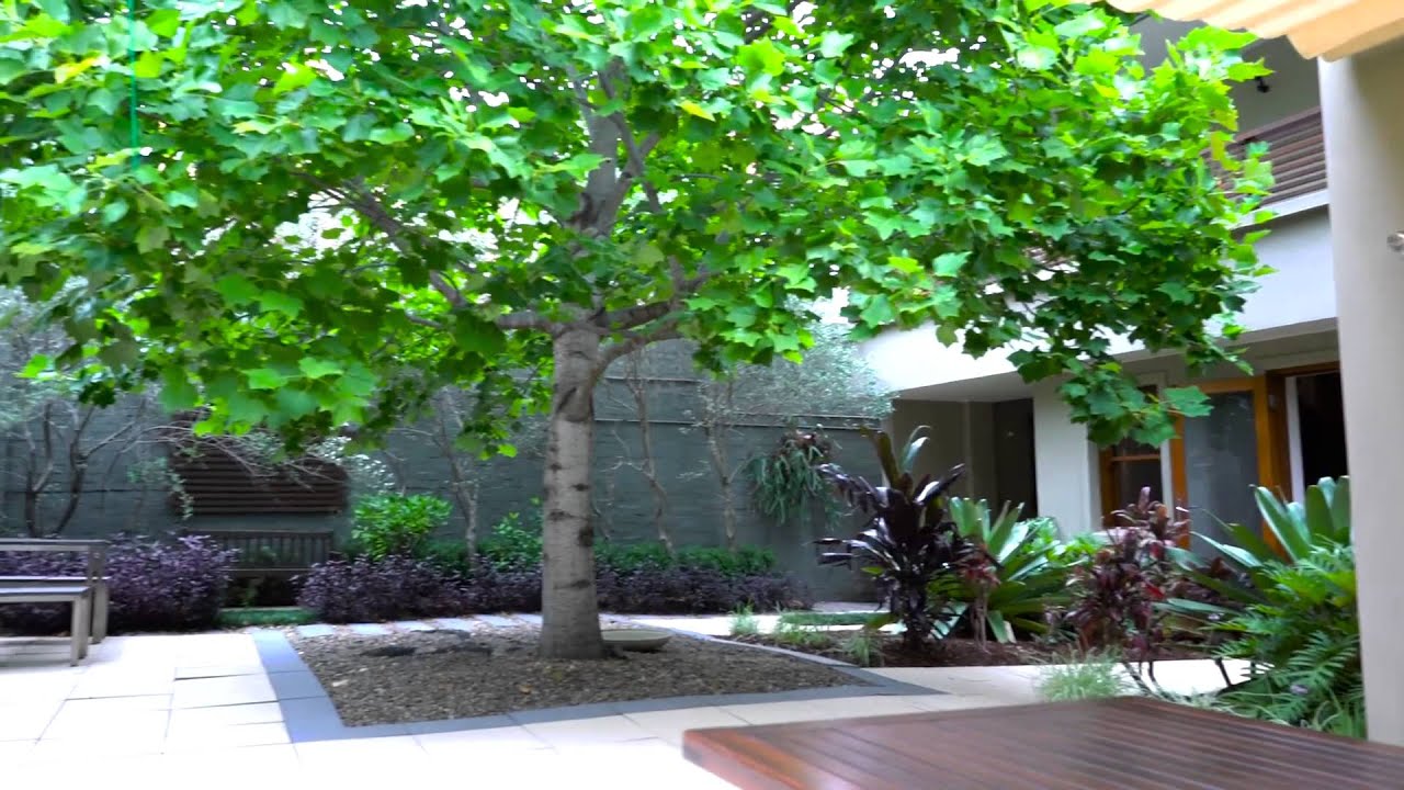 96 Hereford Street, Glebe NSW 2037 | Mark Tooth & James Cahill