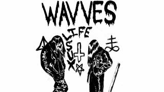 Miniatura del video "Wavves - Destroy (feat. members of Fucked Up)"