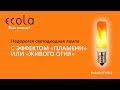Недорогая светодиодная лампа с эффектом пламени Ecola (артикул: B4TF10ELC) LED Flame Lamp