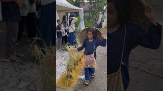 Enon melihat Padi Baduy di Seba Baduy