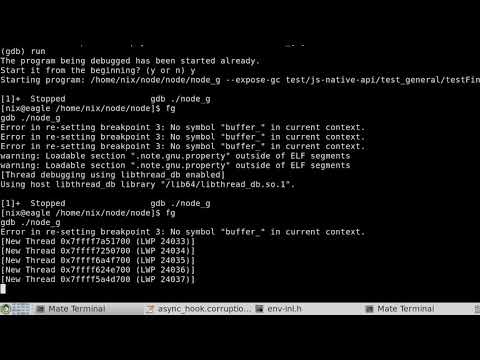 GDB hardware watchpoint behaviour