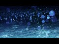新曲「面影のれん?」/水田かおり cover 文夫(聖風)