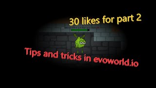 Tips And Tricks In Evoworld Io