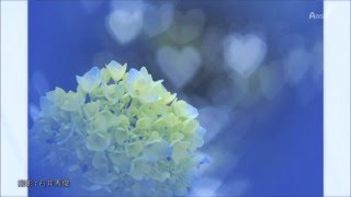 フォトL雰囲気のあるオシャレな写真